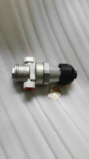 Steam Pressure Regulator with Stainless Steel Body